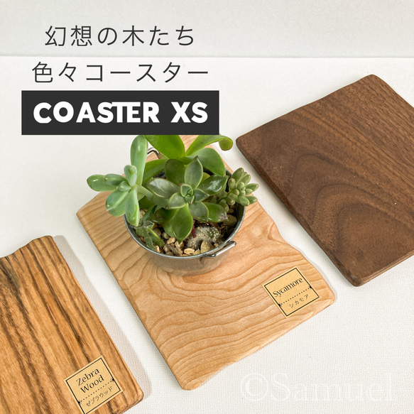 ◩きのかたち「色とりどりの不揃いコースター：幻想の木たち」XS│インテリア 花台 飾り台 coaster C202