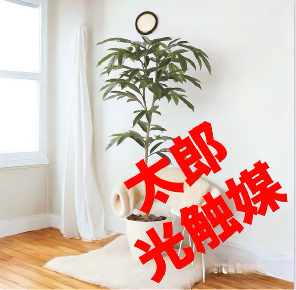 光触媒　人工観葉植物　フェイクグリーン　 アムステラバーキング 1.6m