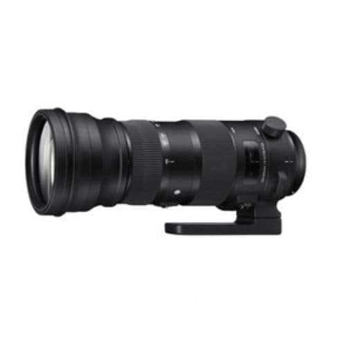 シグマ 150-600mm F5-6.3 DG OS HSM(ニコン)