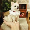 【オーダーメイドペット】羊毛フェルト、うちの子　犬ぬいぐるみ、フェルト犬、羊毛犬、肖像画、犬猫人形 プレゼントやギフトに