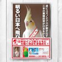 インコ党 第二弾 ポストカード４枚セット