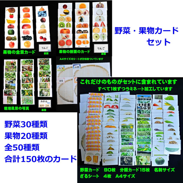 果物カードセット＆野菜(きのこ)カードセット　全50種類　生活科に　理科に　小学校受験に