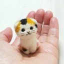 受注制作　小さな子猫　折れ耳三毛猫　羊毛フェルト　スコティッシュフォールド