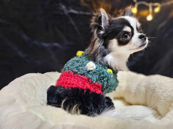 セール✴︎ クリスマス クリスマスツリー ワンピース　犬服　クリスマス衣装