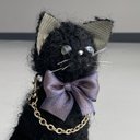 Couture cat 17