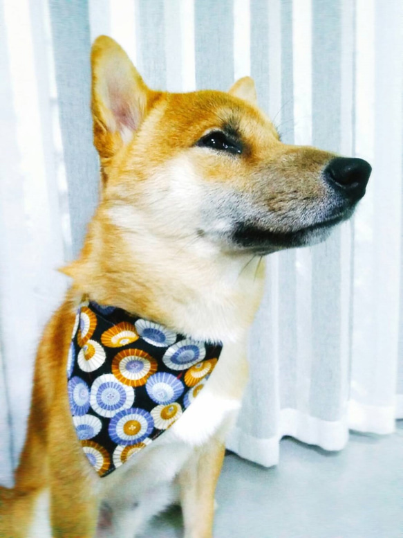 犬 首輪 Medium Cat Dog Bandana, Cat Dog Scarf, Pet Accessories