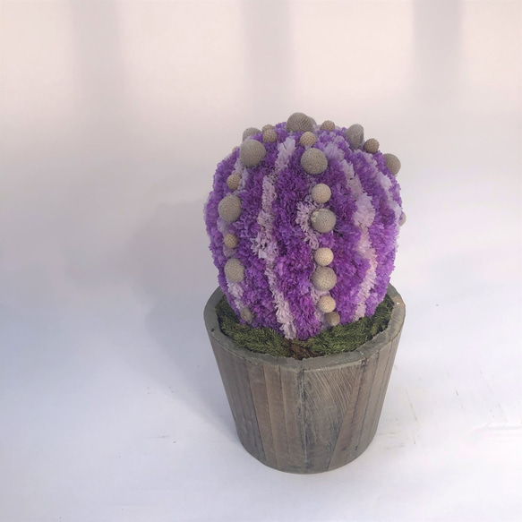 【値下げ】Cactus(バルーン23/ラベンダー) カラフルサボテンオブジェ　ドライフラワースターチス