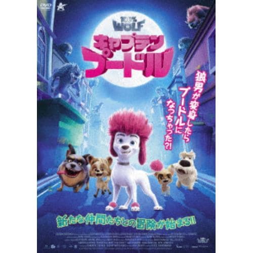 【DVD】キャプテン・プードル