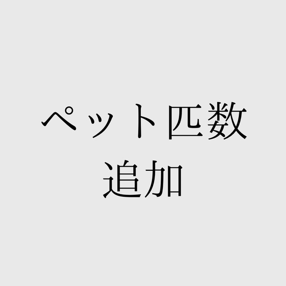 追加オプション　後付け