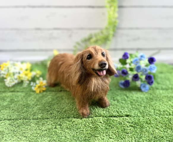 ダックスフンド♡世界でたったひとつ♡うちの子をずっとそばに♡ダックス　オーダー