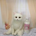 ☆羊毛フェルト白マンチカン☆猫　ハンドメイド　ねこ　ネコ　フェルト猫　ペットロス　虹の橋　羊毛フェルト猫　三毛猫　オブジェ