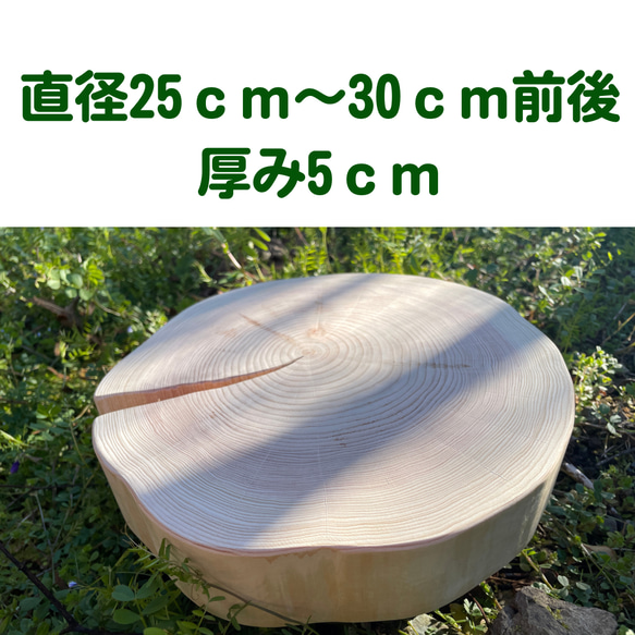 皮無し桧のスライス　円形　直径25〜30cm前後　厚み5cm