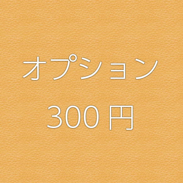 オプション 300円