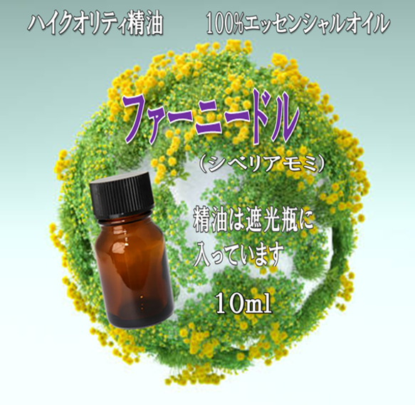 【セール】高品質精油・ピュアエッセンシャルオイル「ファーニードル】10ml　※オフィスや自宅の空気浄化＆感染対策に！