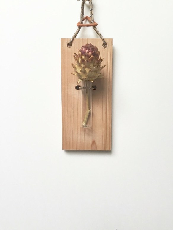 ウッドプランツハンギング#71/wood plant wall hanging by po-em