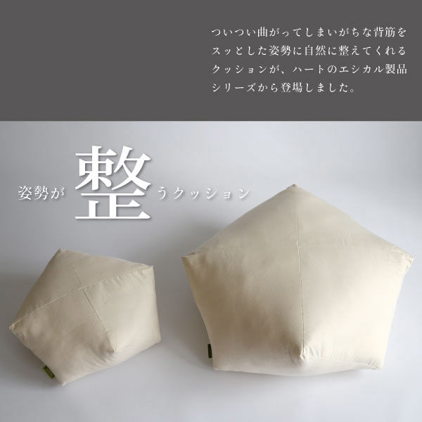 ハート ととのうクッション 大 4717 1個（直送品）