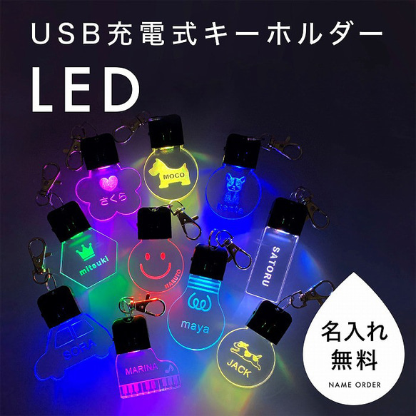 光る迷子札 光るキーホルダー 名入れ無料 USB充電式