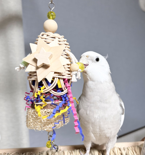 鳥のおもちゃ ☆ラタンベルスター☆ 【鳥 インコ バードトイ おもちゃ】ラタン ひのき ヘチマ ベル