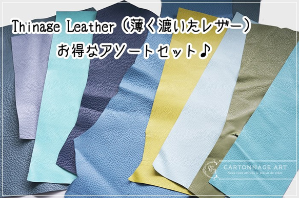 Thinage Leather（薄く漉いたレザー）アソートセット【ブルーグリーン系】