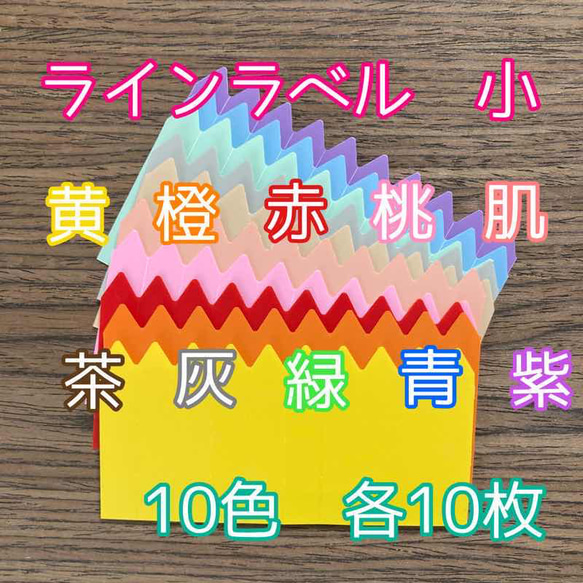 ラインラベル 小 10色セット園芸ラベル カラーラベル 多肉植物 エケベリア