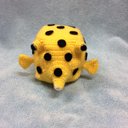 かぎ針編み海洋生物ハコフグ (M size)かわいい編みぐるみ　Crochet Sea Creatures Boxfish (M size) Amigurumi