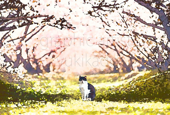 「櫻」猫の居る風景