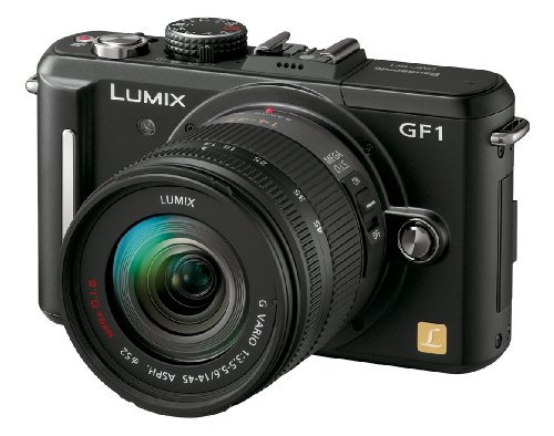 Panasonic ミラーレス一眼カメラ GF1 レンズキット(14-45mm/F3.5-5.6標準ズームレンズ付属) エスプリブラック【中古品】