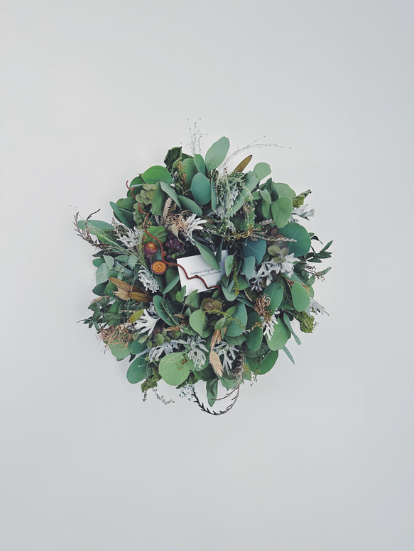 Botanical wreath 6 popolus ポポラスリース 33㎝