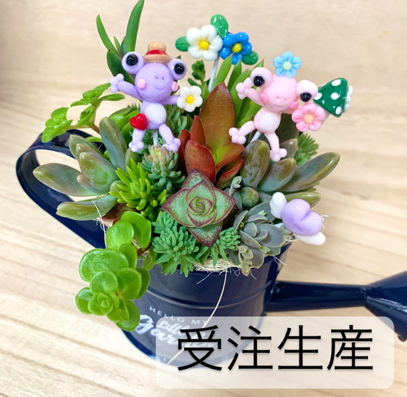 〜そのまま飾れる〜多肉植物寄せ植え(ハンドメイド)カエルピック