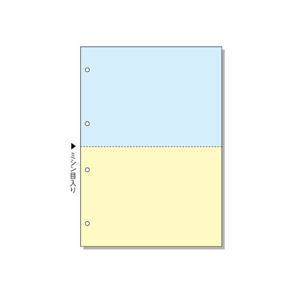 ヒサゴ マルチプリンタ用帳票 A4 カラー2面 4穴 100枚 FC91562-BP2011