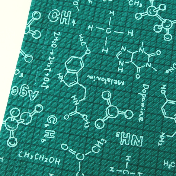 [20＊30cm]ランチョンマット　化学式グリーン　lm-1155-2