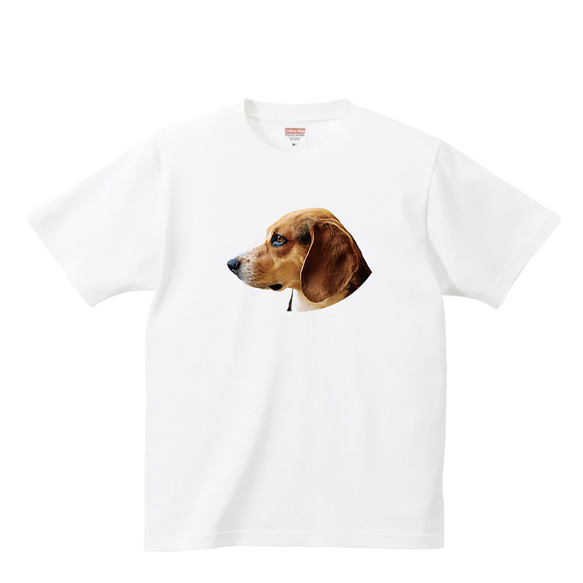 ビーグル tシャツ イラスト 写真 かわいい 子犬 愛犬 デザイン グッズ