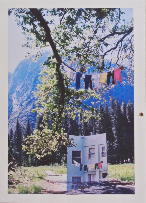 デジタルアート Yosemite Laundry ヨセミテ公園の洗濯物