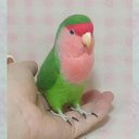 リアルサイズ♪ コザクラインコ ノ－マルグリ－ン ★羊毛フィギュア 羊毛フェルト 鳥のオブジェ リアルバード 受注制作 オーダー