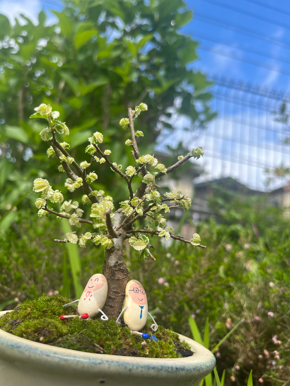 まめ太　飾り物