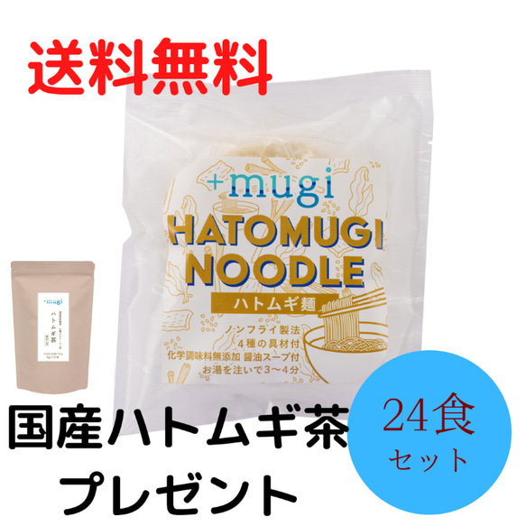 ハトムギ麺（日本初　ハトムギ麺×即席麺）　生活応援キャンペーン!!　定価11040円　ダイエット・内祝にも