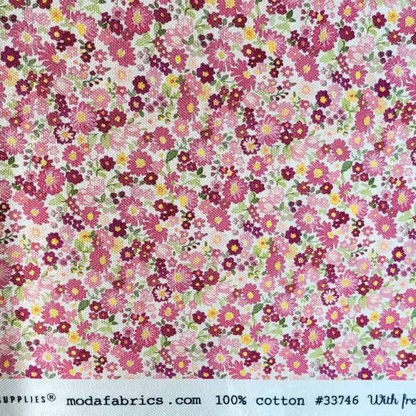 NEW  fabrics GALAVANTING GARDEN/CAMEO 33476-14 CHELSHE GARDE