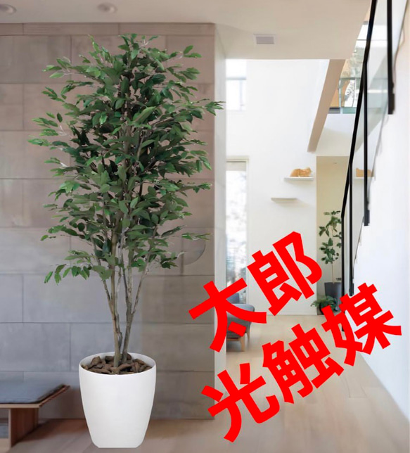 光触媒　人工観葉植物　フェイクグリーン　ベンジャミンツリー 1.8m