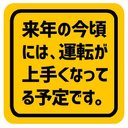 来年の今頃には運転が上手くなってるカー マグネットステッカー 13cm