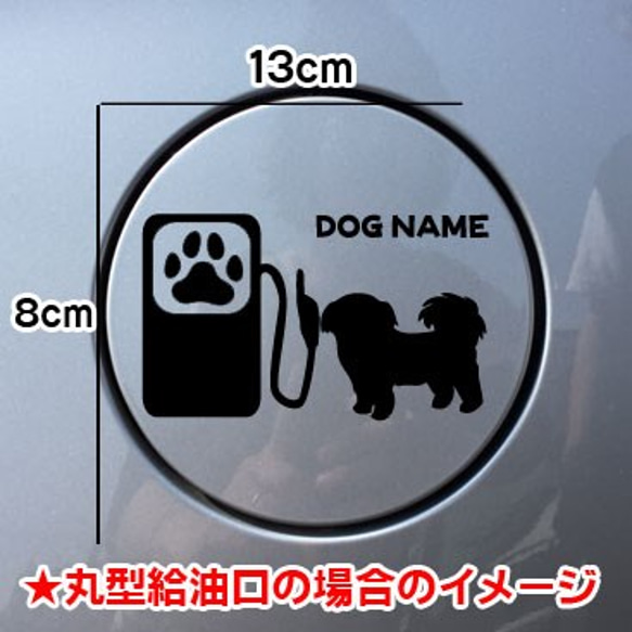 《送料無料》シーズー Seas 犬 DOG ステッカー 愛犬家 給油口 車