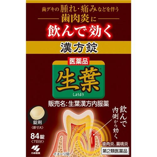 【第2類医薬品】 小林製薬 生葉漢方錠 (84錠)