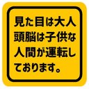 見た目は大人 頭脳は子供な人間が運転 カー マグネットステッカー 13cm