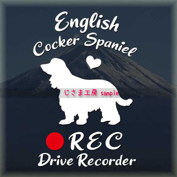 わんちゃんの可愛いドラレコステッカー!!『DRIVE　RECORDER』