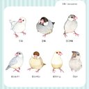 文鳥の防水ステッカー｜ミニサイズ