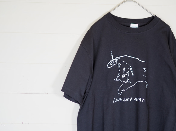 LIVE LIKE A CAT T shirt　猫Tシャツ　sumi