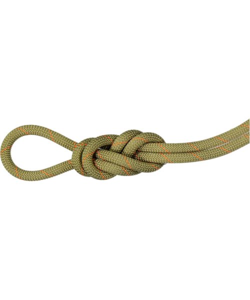 MAMMUT マムート アウトドア 9．9 Gym Workhorse Classic Rope 2010－04310 201004310