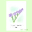 4月18日誕生花カード（花言葉つき）点描画