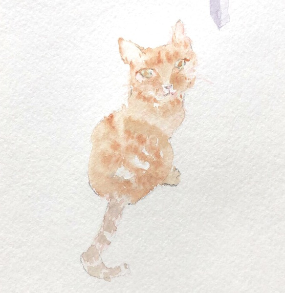 水彩画「ねこ」原画