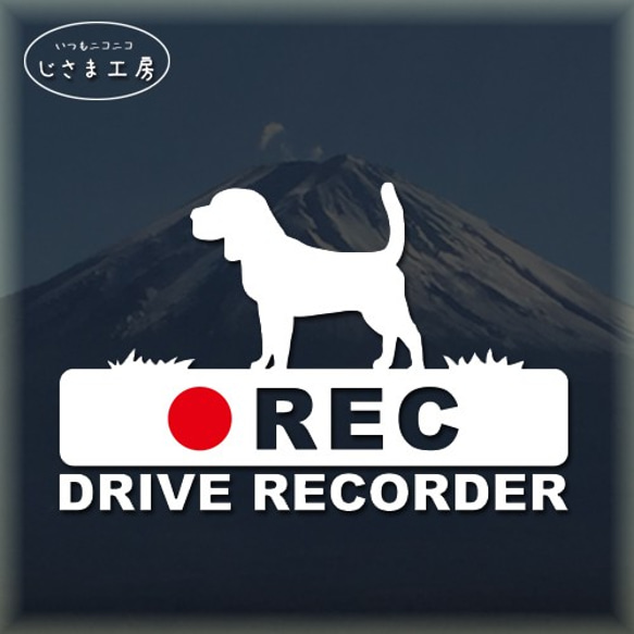 ビーグル犬の白シルエットステッカー後方注意!!『DRIVE　RECORDER』