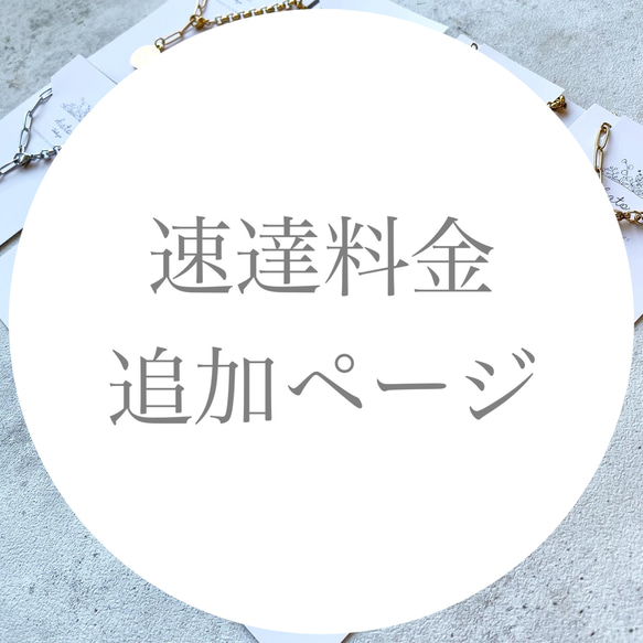 速達料金追加ページ